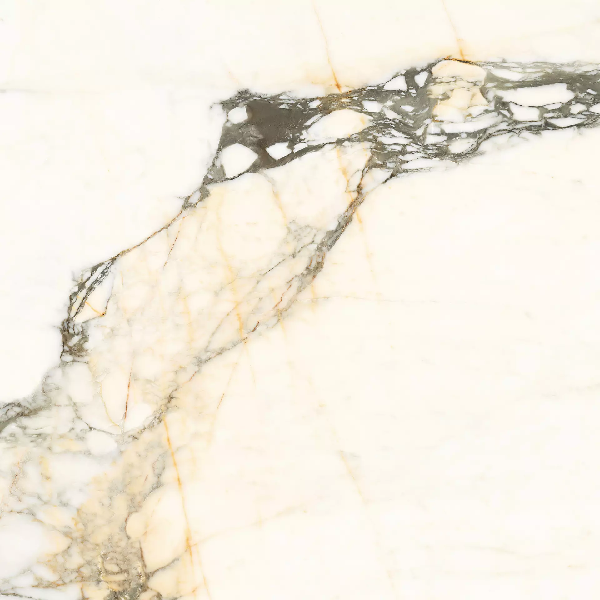 Placi ceramice - Calacatta Paonazzo (PAZ) 120x120 Lappato mat 6.5 mm