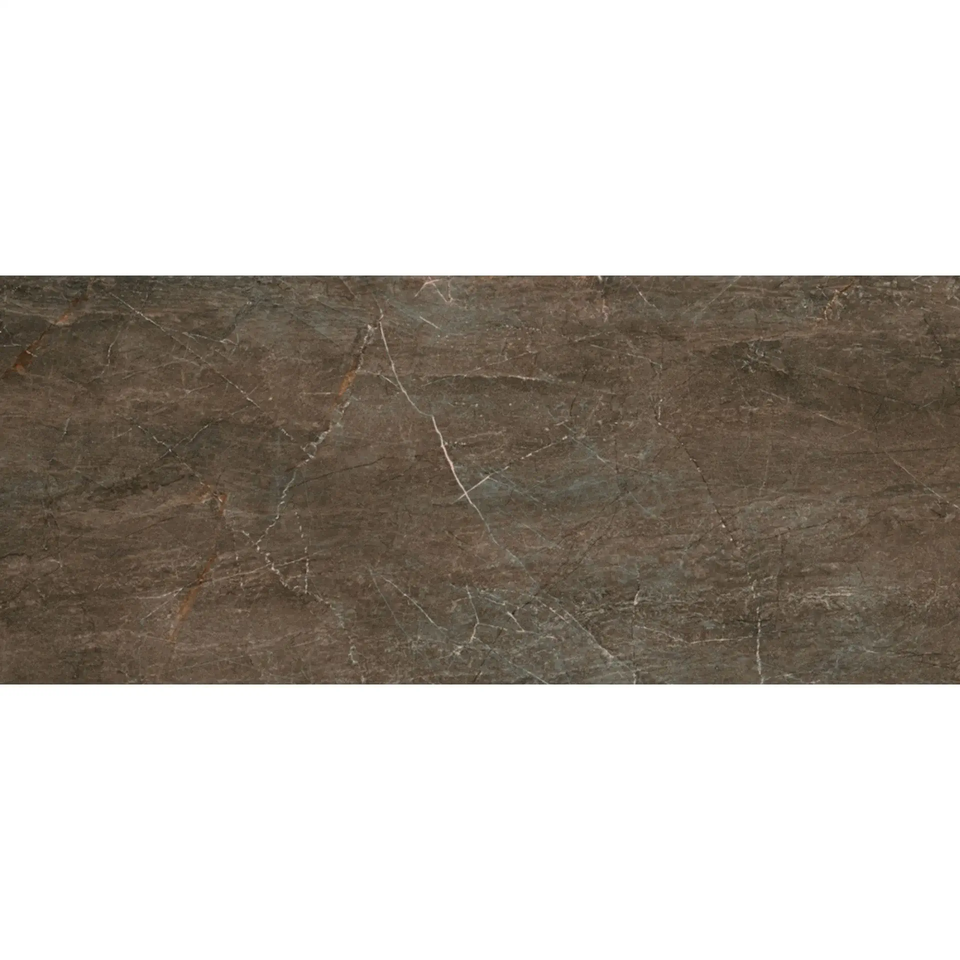 Serenissima - Fossil - Fossil Bruno 60x120 Natural 10 mm