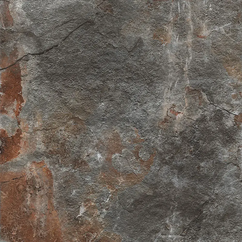 Century - Geology - Geology Fossil 50x50 Antiderapant 10 mm