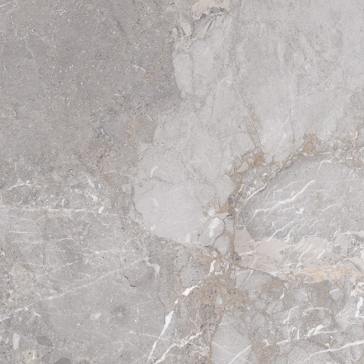 Edimax Astor - Golden Age - Golden Age Grey 60x60 Natural 9mm