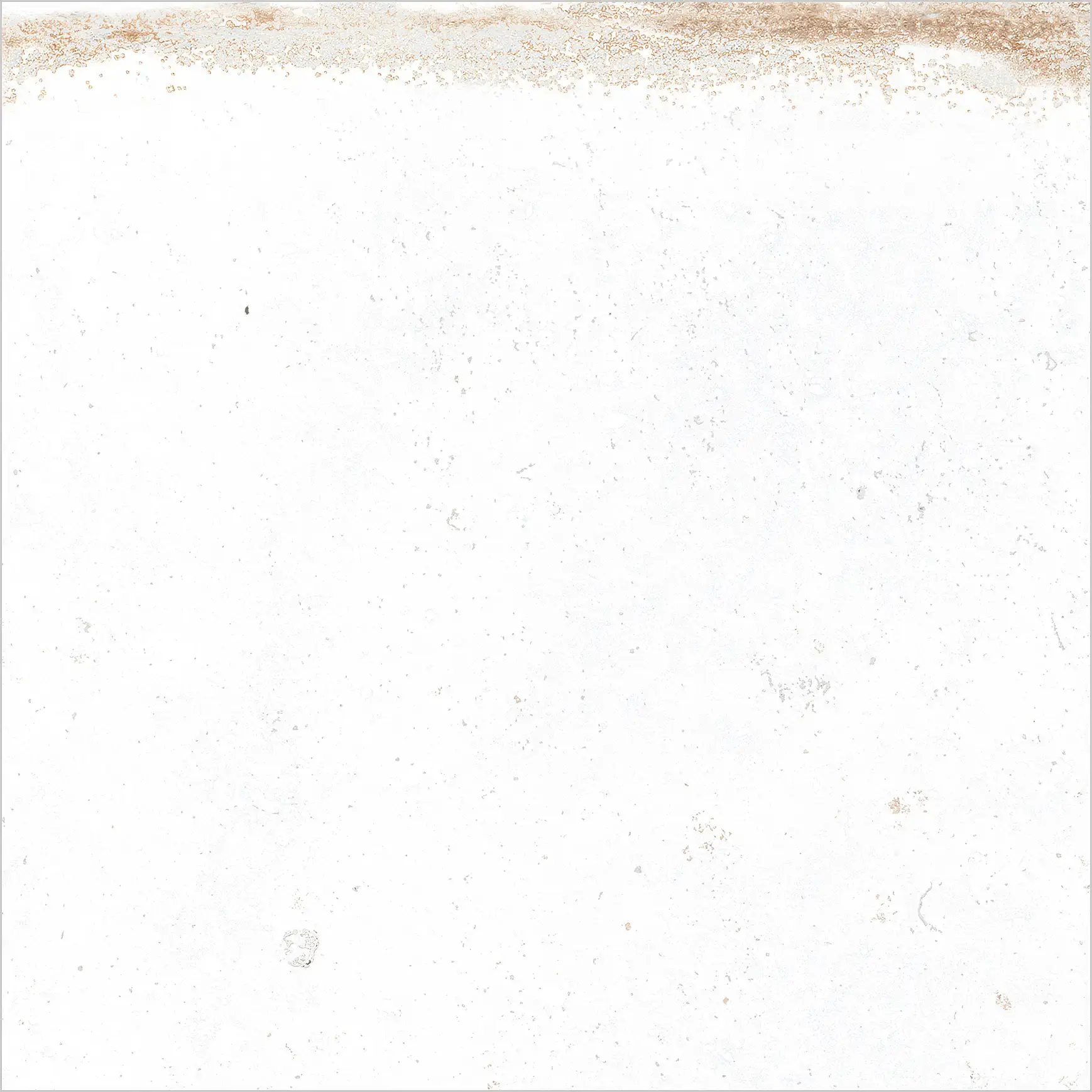 Edimax Astor - Home Whitepastel 40x40 Natural 9 mm