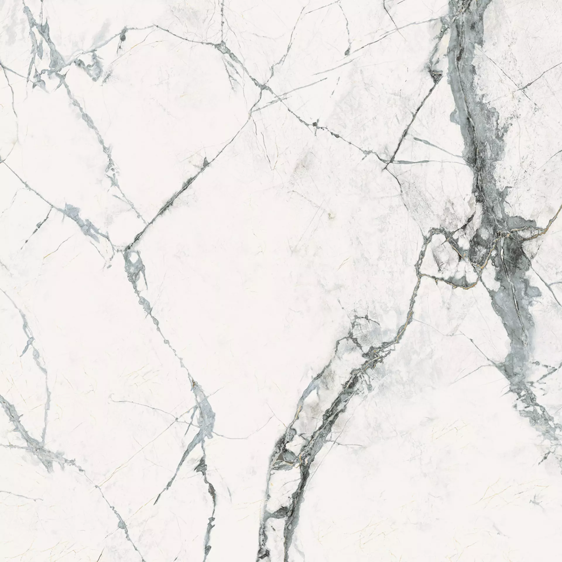 Colectii - INV WHITE 120X120 Mat 6.5 mm