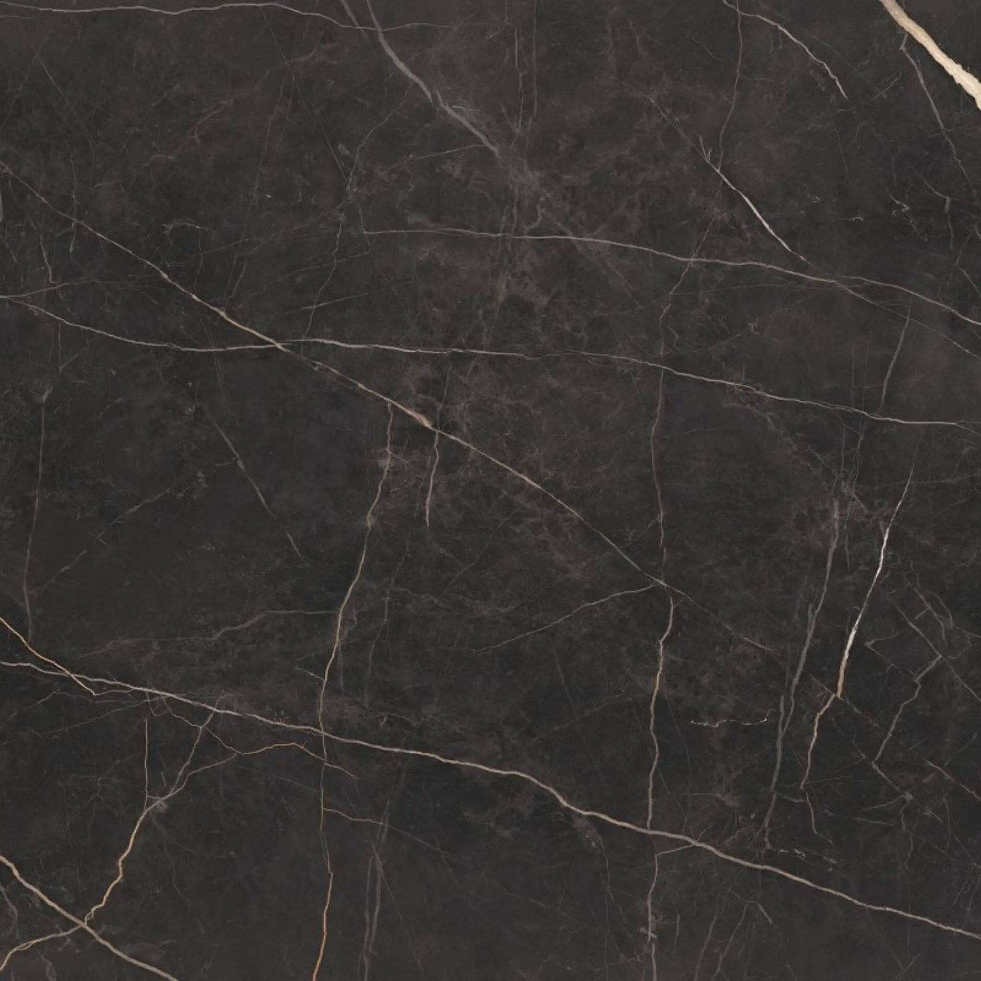 Del Conca - Marble Boutique - Marble Boutique Gold Laurent 120x120 Lucios 8.5 mm