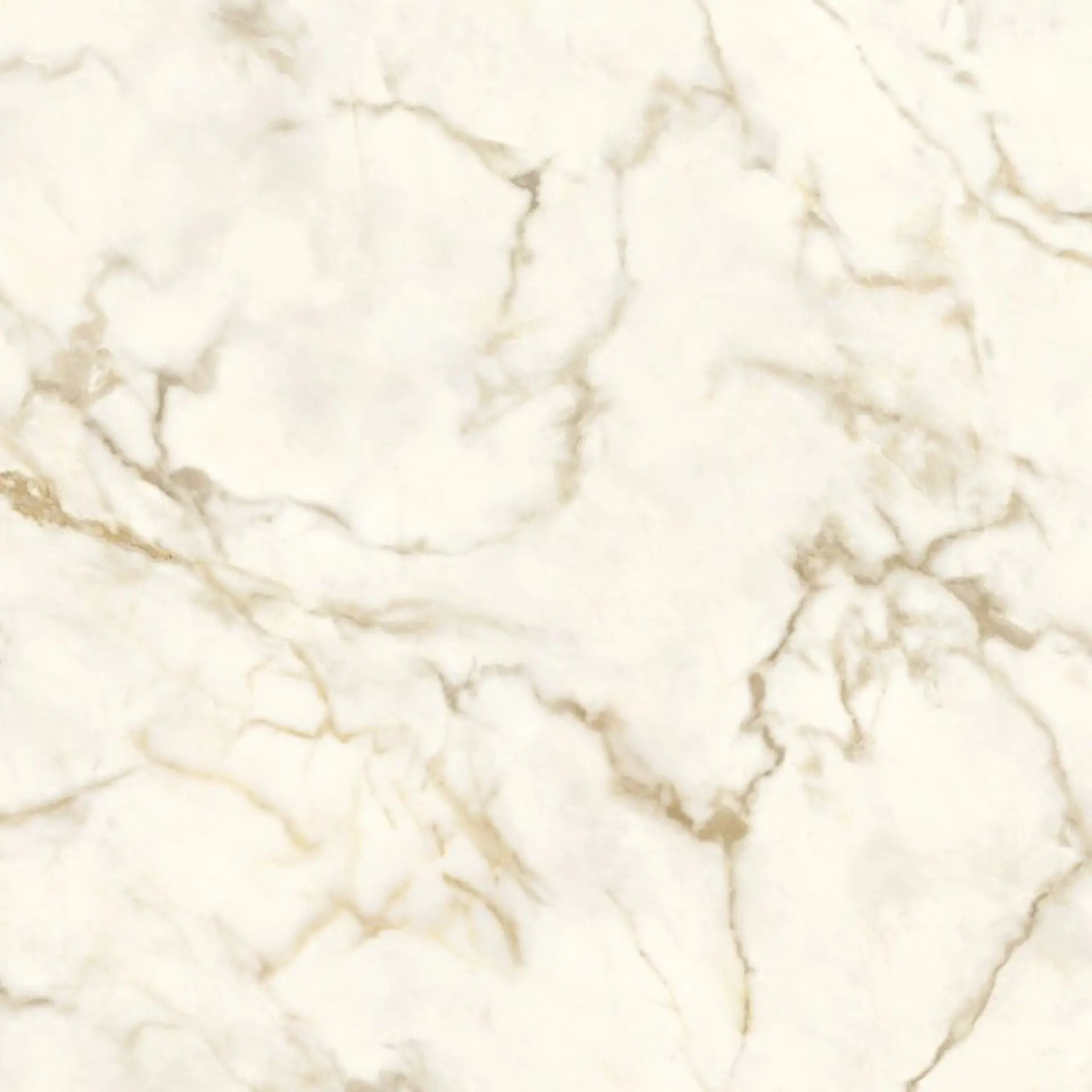 Del Conca - Marble Boutique - Marble Boutique Macchia Vecchia 120x120 Lucios 8.5 mm