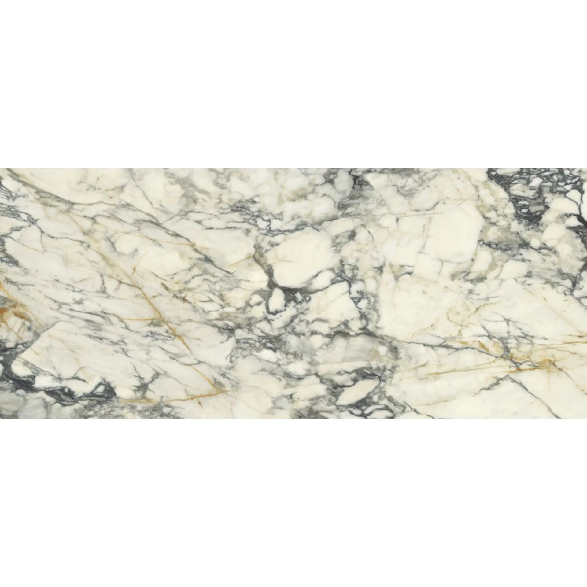 Del Conca - Marble Boutique - Marble Boutique Paonazzo 60x120 Lucios 8.5 mm