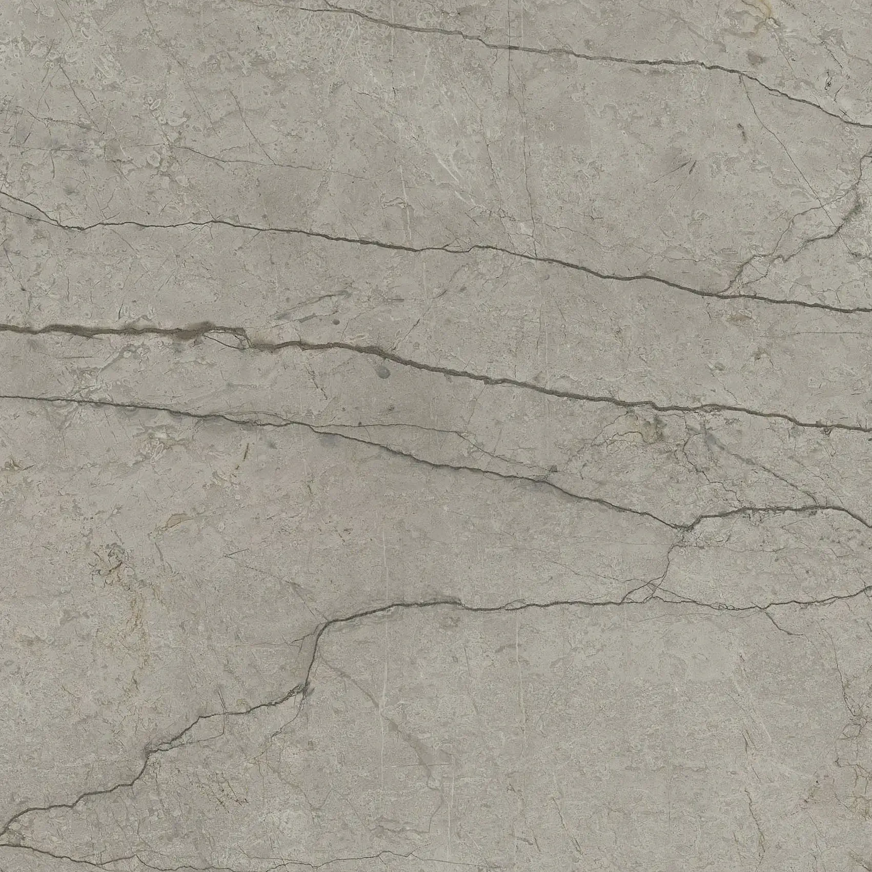 Del Conca - Marble Boutique - Marble Boutique Silver 120x120 Lucios 8.5 mm