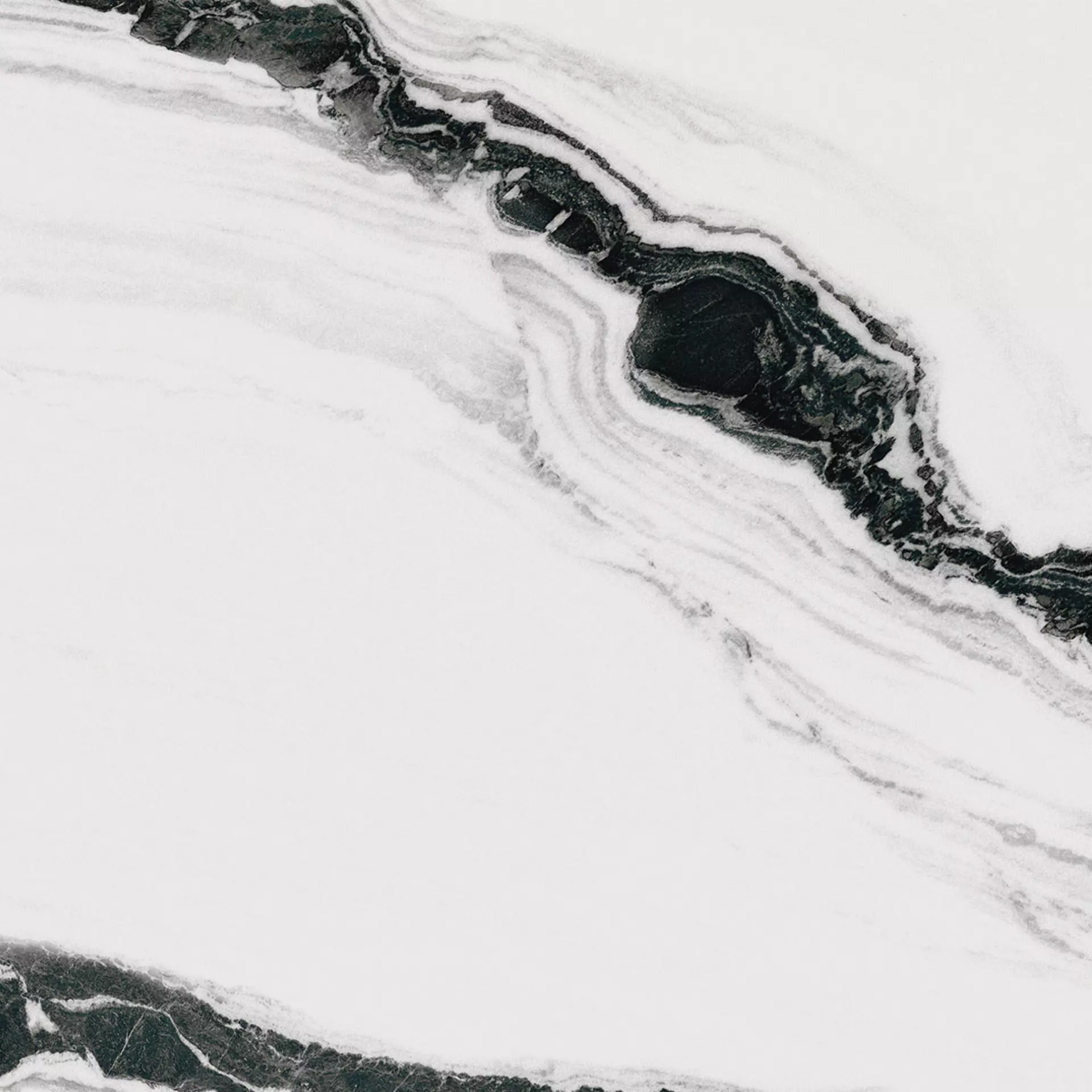 Colectii - PANDA WHITE 120X120 Mat 6.5 mm