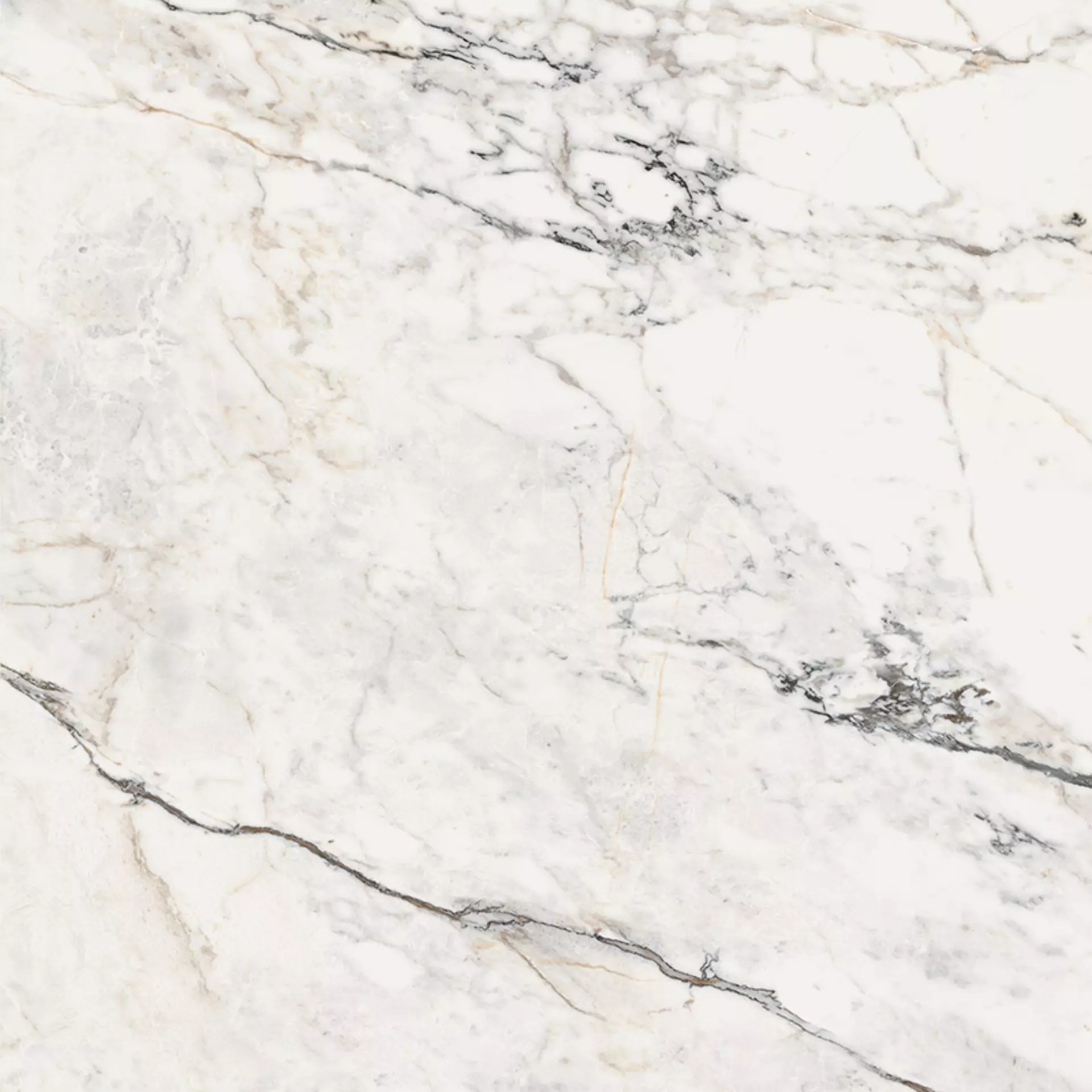 LaFaenza - Paonazzetto (PAO) 120x120 Mat 6.5 mm