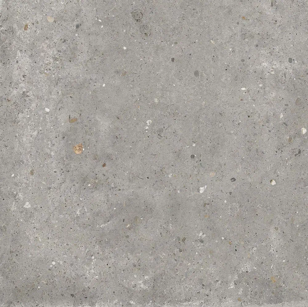 ABK - Poetry Stone Pirenei Grey 60x60 Natural 8.5 mm
