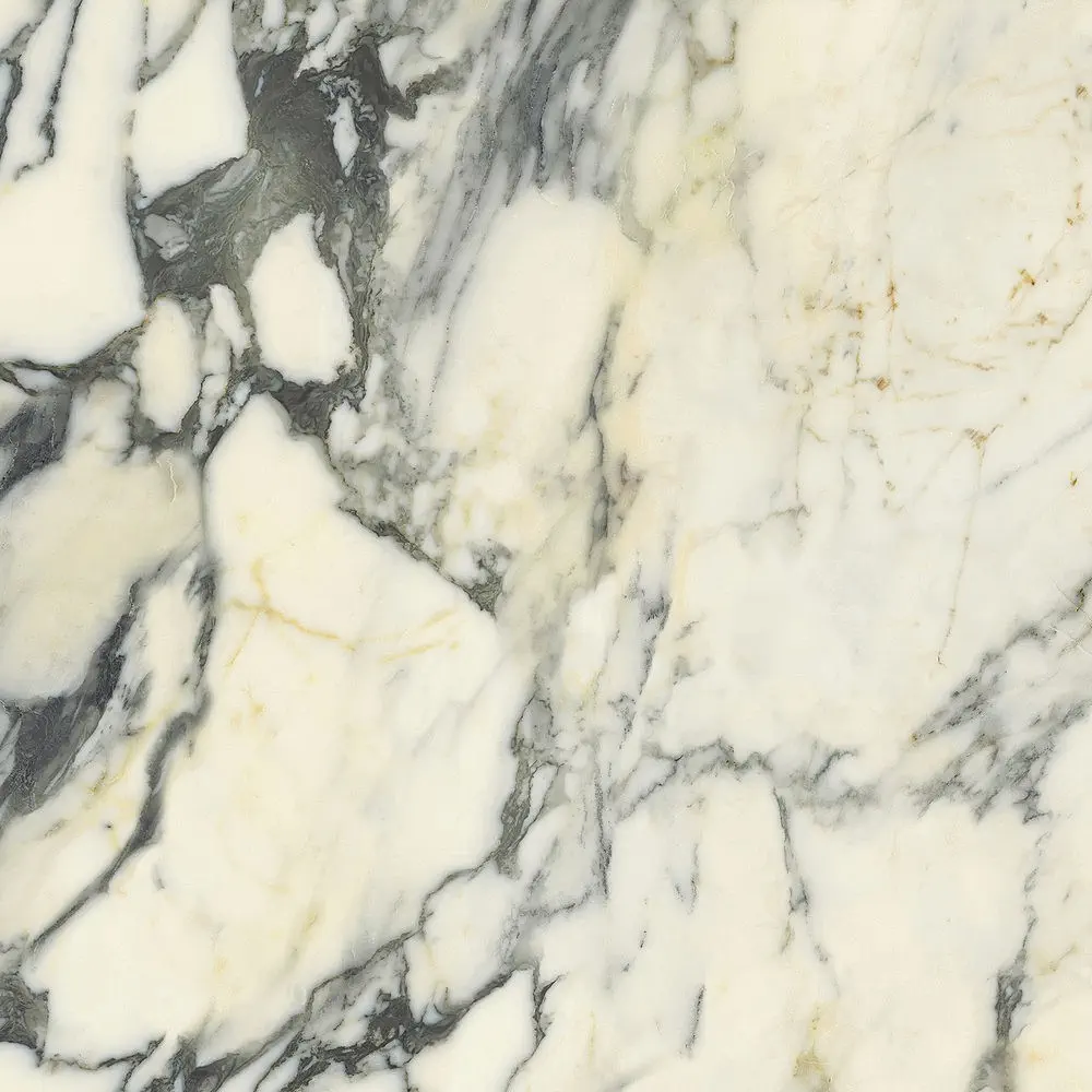 Del Conca - Premiere - Premiere Paonazzo 120x120 Natural 8.5 mm