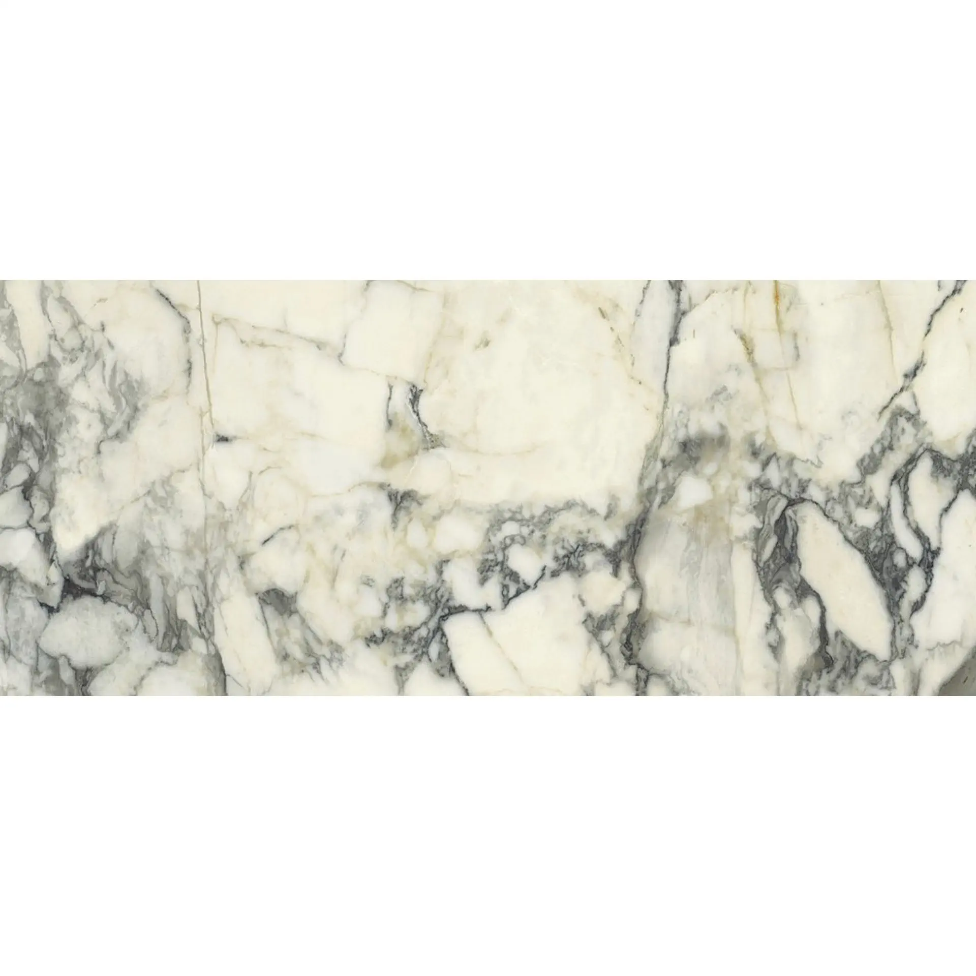Del Conca - Premiere - Premiere Paonazzo 120x278 Natural 6.5 mm