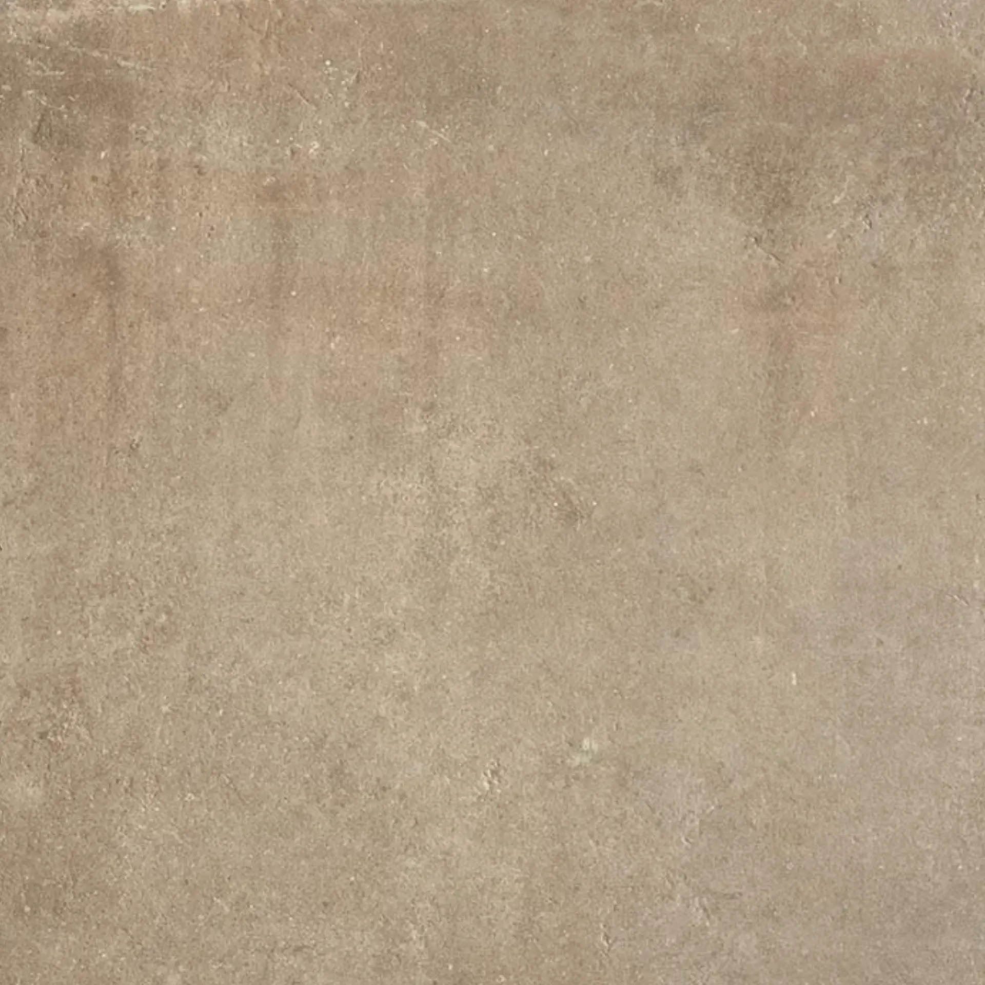 Serenissima - Promenade - Promenade Tan 60x60 Natural 10 mm