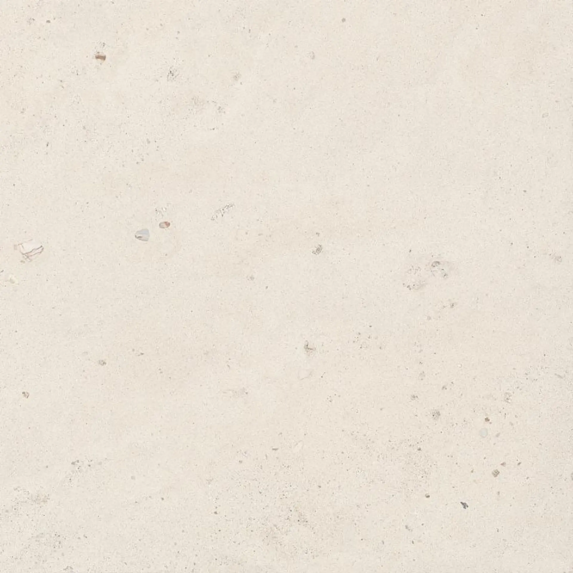 LaFaenza - Suite Stone Shell 120x120 Natural 6.5 mm