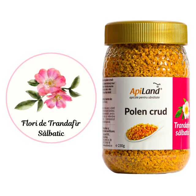 Polen crud de Trandafir Sălbatic [3]