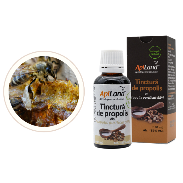 Tinctură de propolis purificat 95% - 30 ml - Apiland [3]