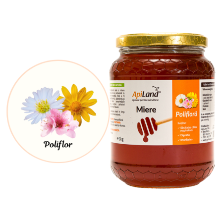 Miere Polifloră - 1kg - Apiland [2]
