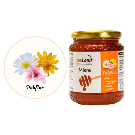 Miere Polifloră - 500g - Apiland [2]