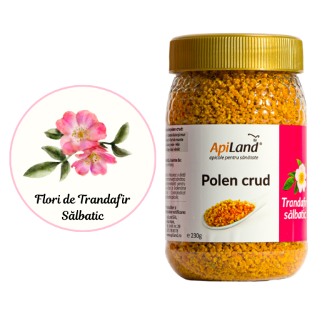 Polen crud de Trandafir Sălbatic [2]