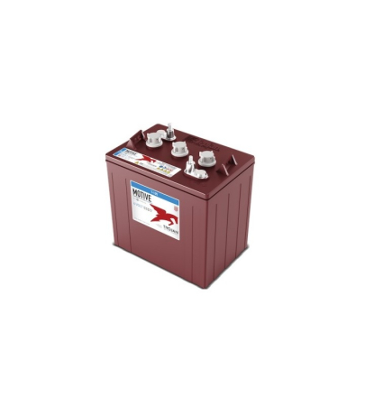 Acumulator Tractiune Trojan - T105