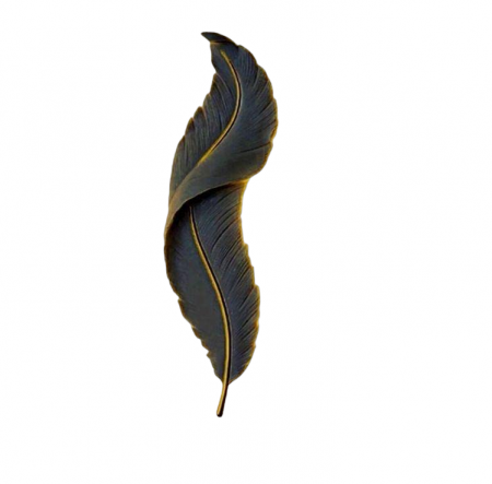 APLICE SI PLAFONIERE - Aplica 8001/60 BK+GD