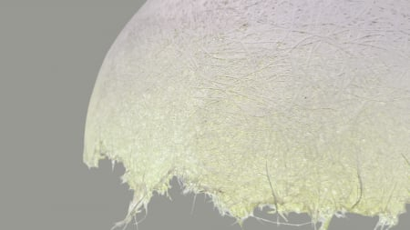 Lustră suspendată 2518/1, fibră de sticlă, vernil, LED [3]