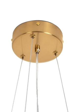 Lustră suspendată elegantă 9080 cu design floral contemporan, finisaj auriu, Ø60–80 cm [4]