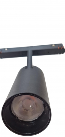 SISTEME MAGNETICE - Proiector 20X