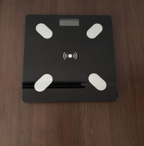 Cantar electronic [2]