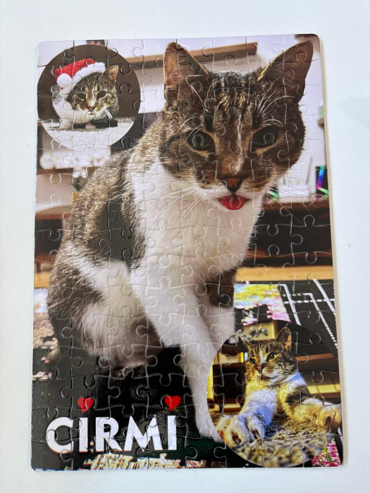 Puzzle personalizat cu Poza [3]
