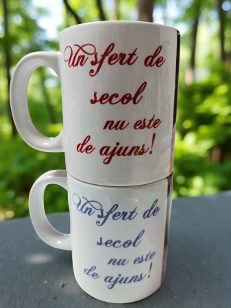 Căni personalizate - Căni cuplu 25 ani