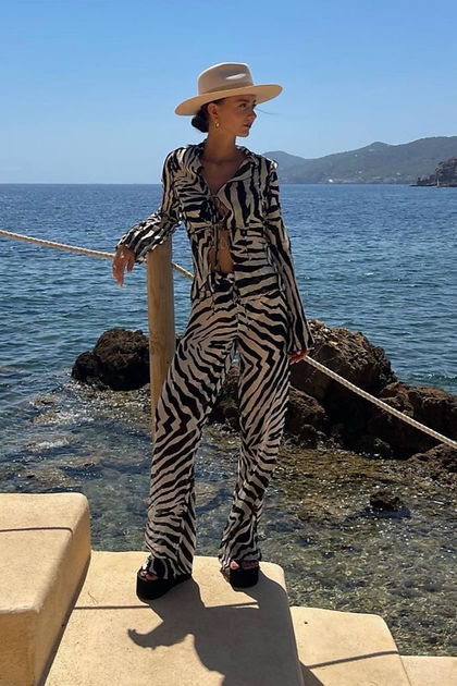 Set Zebra [5]