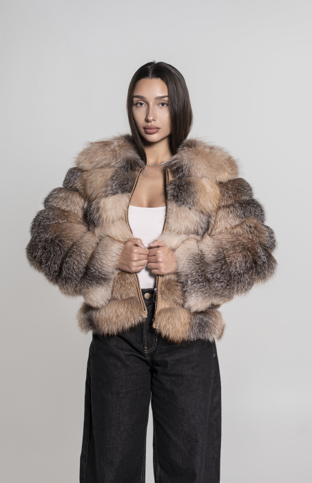 Model 6 în 1 vulpe canadiană [4]