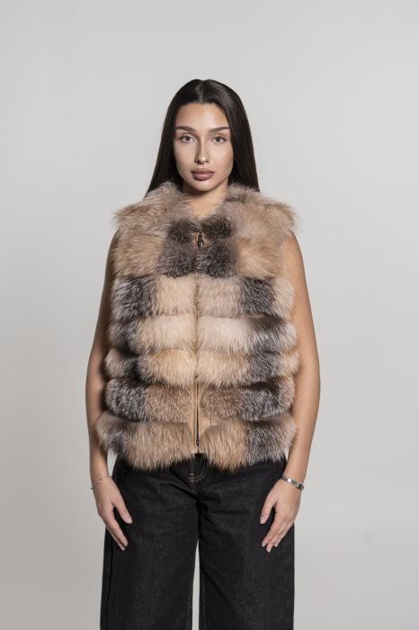 Model 6 în 1 vulpe canadiană [5]