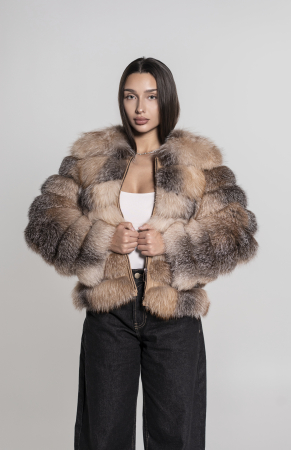 Model 6 în 1 vulpe canadiană [3]