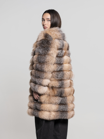 Model 6 în 1 vulpe canadiană [1]