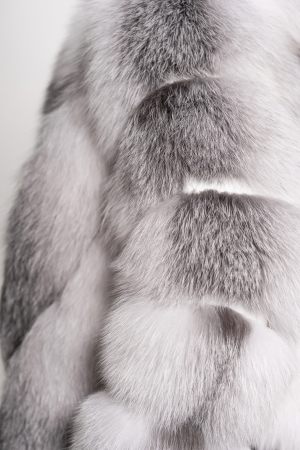 Vulpe artica model 2 în 1 [2]