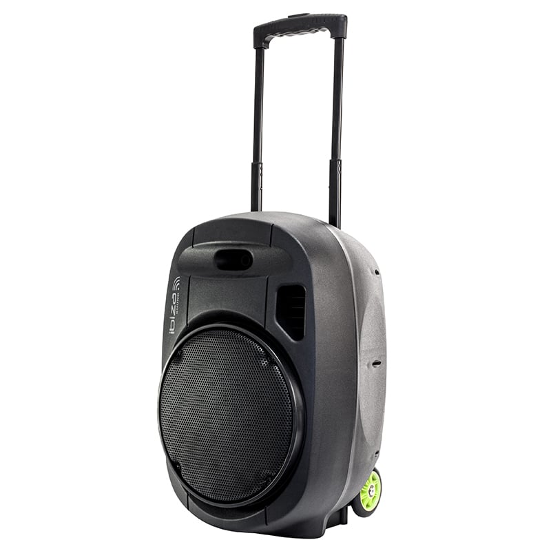 BOXA PORTABILA 12"/30CM 350W RMS 12/230V USB/MP3 [11]