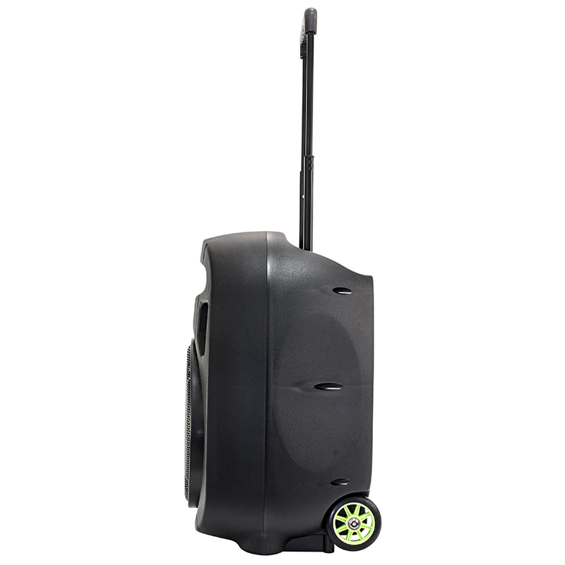 BOXA PORTABILA 12"/30CM 350W RMS 12/230V USB/MP3 [14]