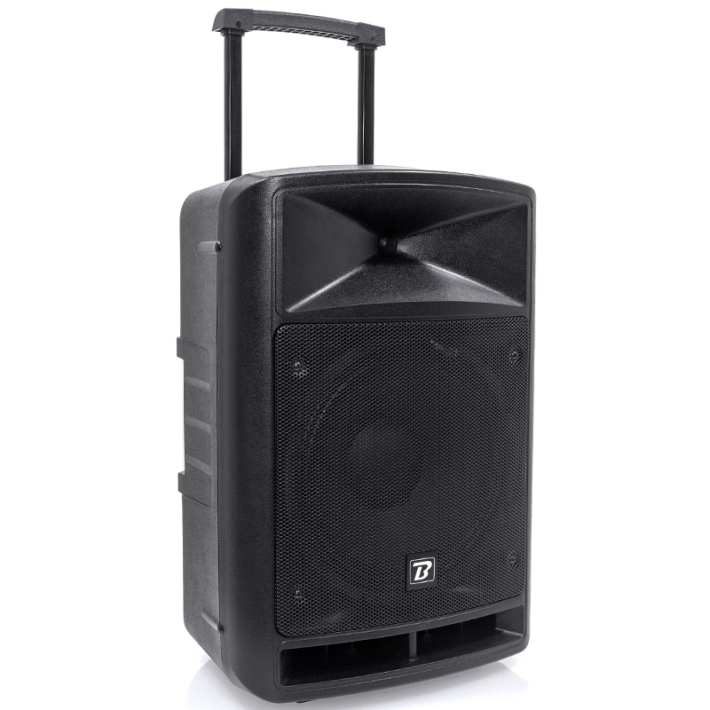 BOXA PORTABILA 12''/30CM + TWEETER 250W BT/USB/FM/SD + 2MIC VHF [9]