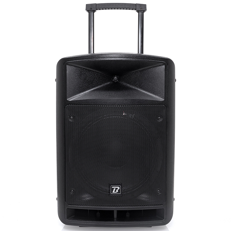 BOXA PORTABILA 12''/30CM + TWEETER 250W BT/USB/FM/SD + 2MIC VHF [8]