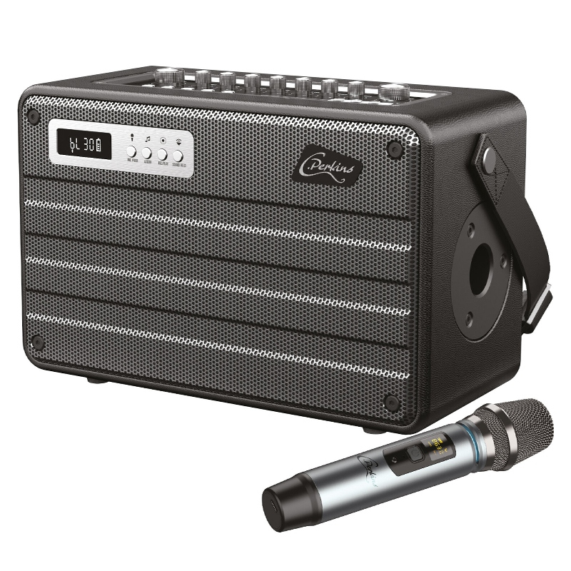 BOXA PORTABILA ALL IN ONE 100W UHF BT/USB/MSD/AUX [2]