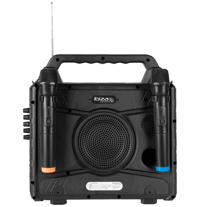 SET PORTABIL KARAOKE CU ECRAN INCORPORAT 14.1" SI 2 MIC WIRELESS [6]