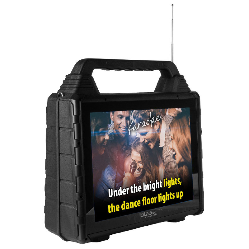 SET PORTABIL KARAOKE CU ECRAN INCORPORAT 14.1" SI 2 MIC WIRELESS [4]