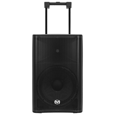 BOXA PORTABILA 12''/31CM 250W RMS TWS CU BT/USB + 2 MIC WIRELESS [7]