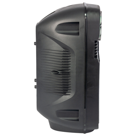 BOXA PORTABILA 8"/20CM CU USB/SD/BT/FM [3]