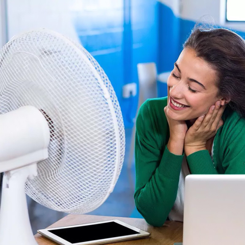 VENTILATOR BIROU PALETE 12" 40W [7]