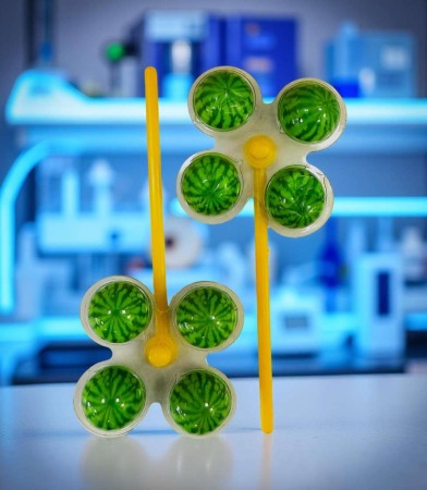 Jeleu Morisca Pepene 8gr En-gross [2]