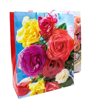 Non-Food - Pungi cadou medii 26x32x9.5cm engross