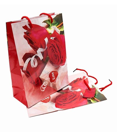 Non-Food - Pungi cadou mici 18x24cm engross