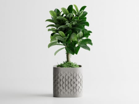 Decoratiuni pentru Casa - Flowform - jardiniera cu personalitate